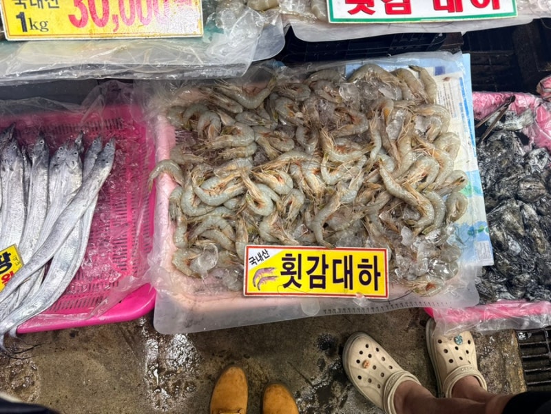 안면도 대하축제 후기｜가을 제철 대하 먹고 온 날