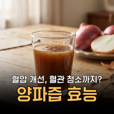 혈압부터 고지혈증까지 잡는다? 양파즙 효능 부작용 먹는법 및 선택기준