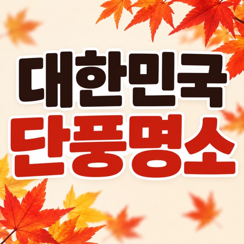 2026 단풍 시기 총정리｜지역별 단풍 명소와 절정 시기 알아보기