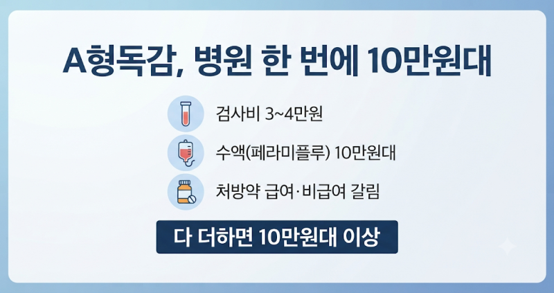 A형독감 진단·수액·검사비, 10만원대 넘는 이유 3가지
