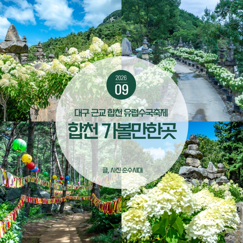대구근교 경남 합천 가볼만한곳 천불천탑 유럽수국축제