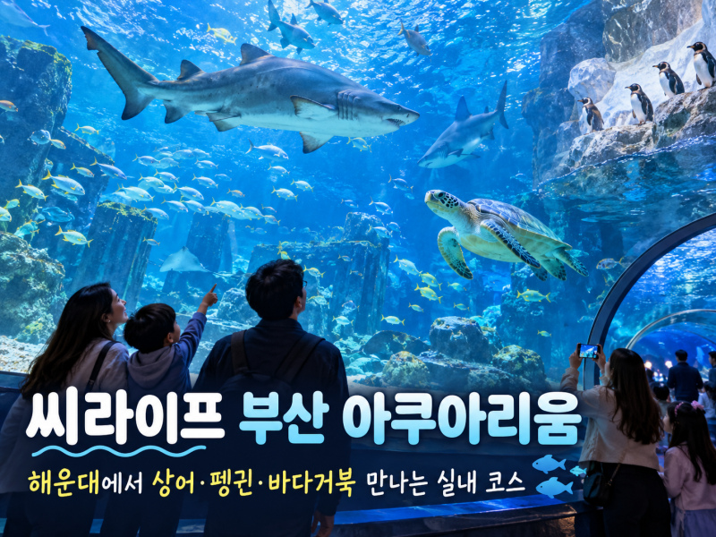 씨라이프 부산 아쿠아리움, 해운대에서 상어·펭귄·바다거북 만나는 실내 코스