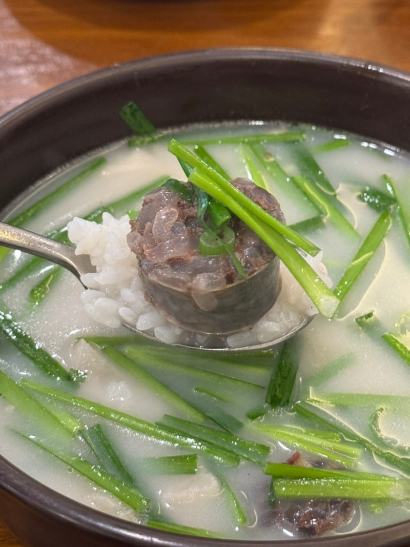 진천동 맛집 대천국밥 토렴식 돼지국밥 순대국밥먹은 후기 낫배드
