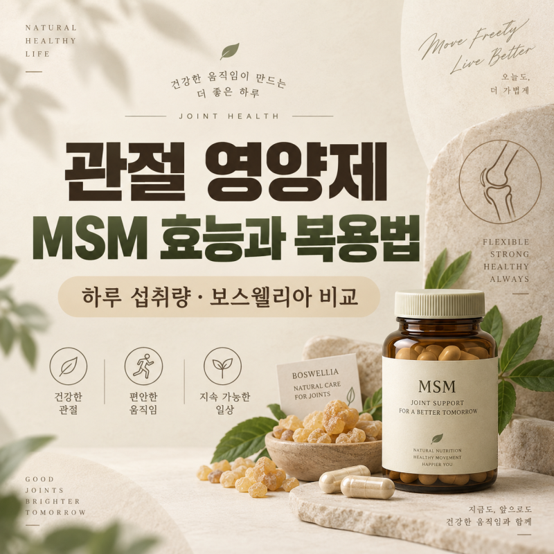 관절 영양제 MSM 효능과 복용법｜하루 권장량·부작용, 보스웰리아 차이