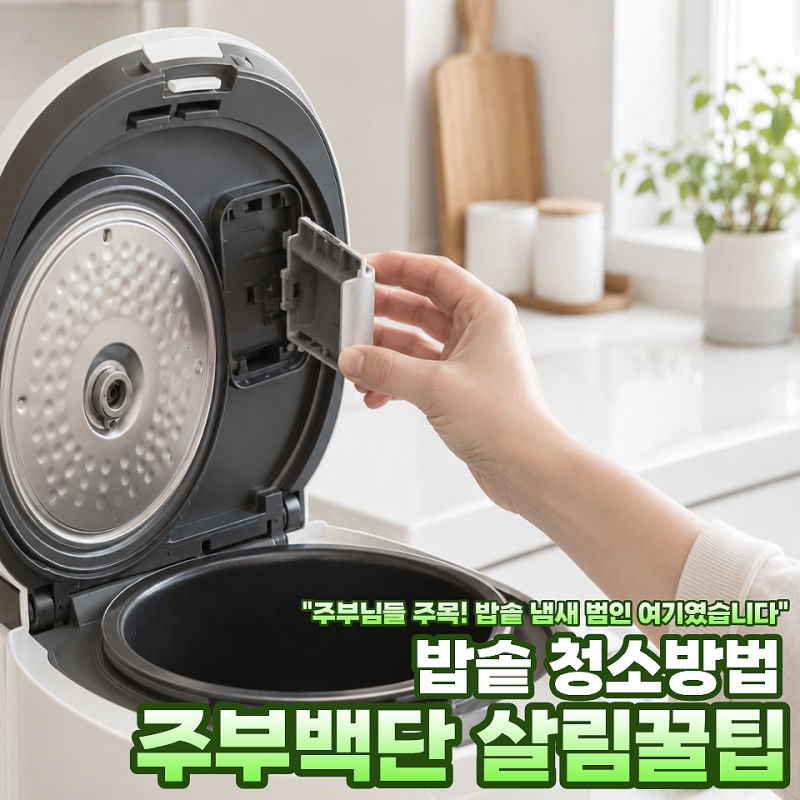 전기밥솥 매일 닦는데도 냄새났던 이유… 뚜껑 말고 "여기"를 열어보세요