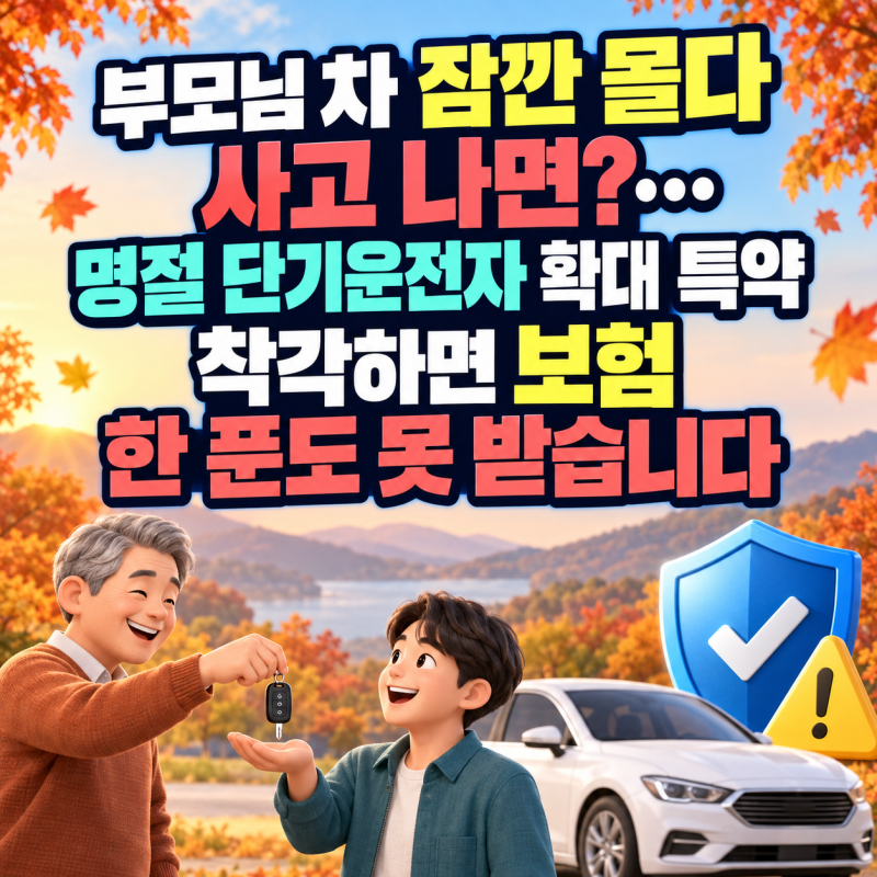 "부모님 차 잠깐 몰다 사고 나면?"... 명절 단기운전자 확대 특약, 착각하면 보험 한 푼도 못 ....