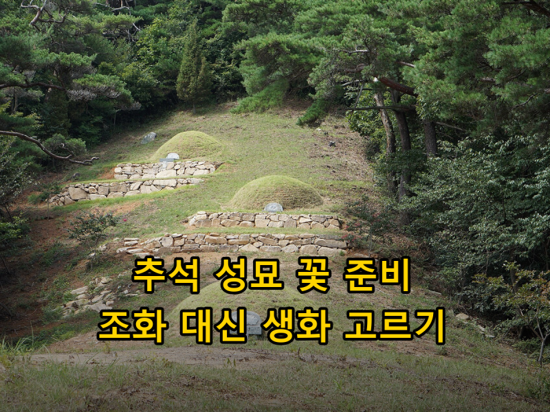 추석 성묘 꽃, 플라스틱 조화 대신 무엇을 올릴까? 장소별 규정과 생화 고르는 법