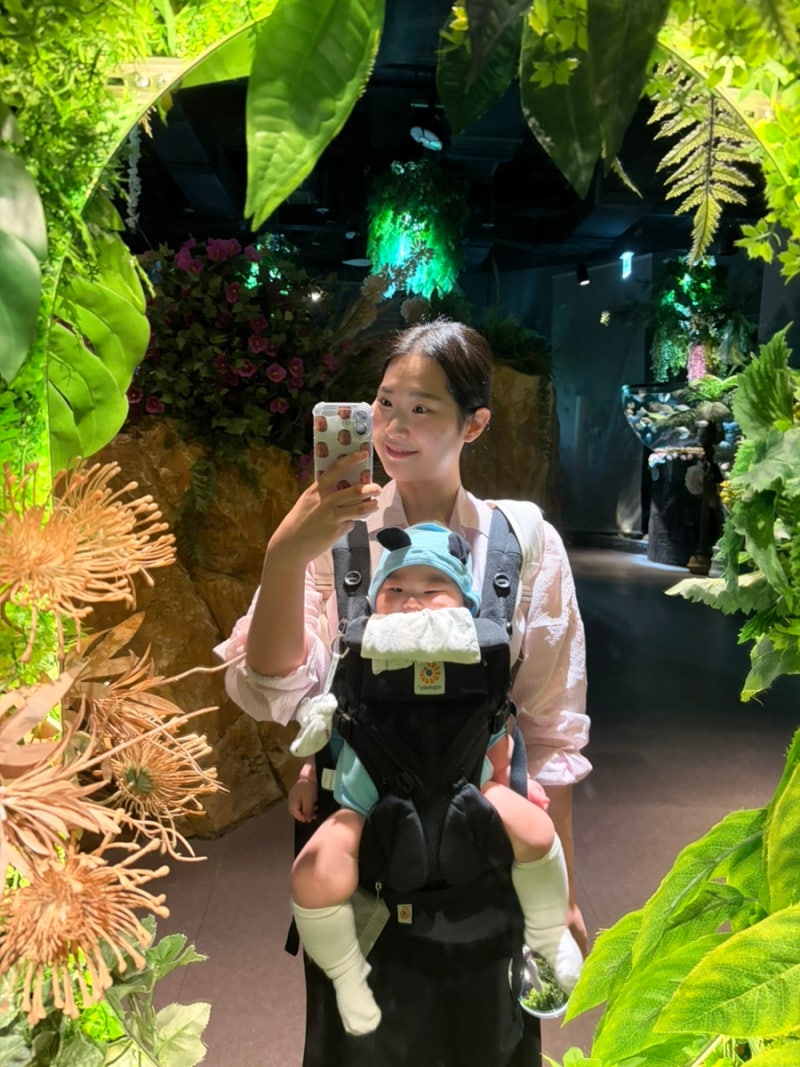 신생아 슬링 졸업 후 아기띠 추천 에르고베이비 옴니360 당근 구매 후기