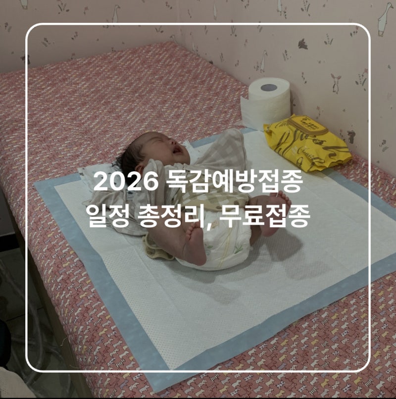2026 독감예방접종 일정 총정리｜무료접종 대상, 어린이 1회·2회 접종은?