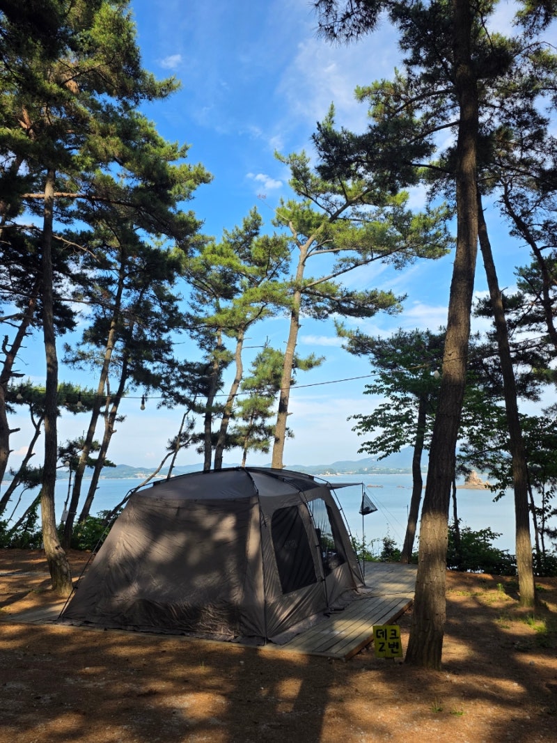 태안 청산리오토캠핑장 | 오션뷰 애견동반 캠핑장 2박 3일 내돈내산 후기