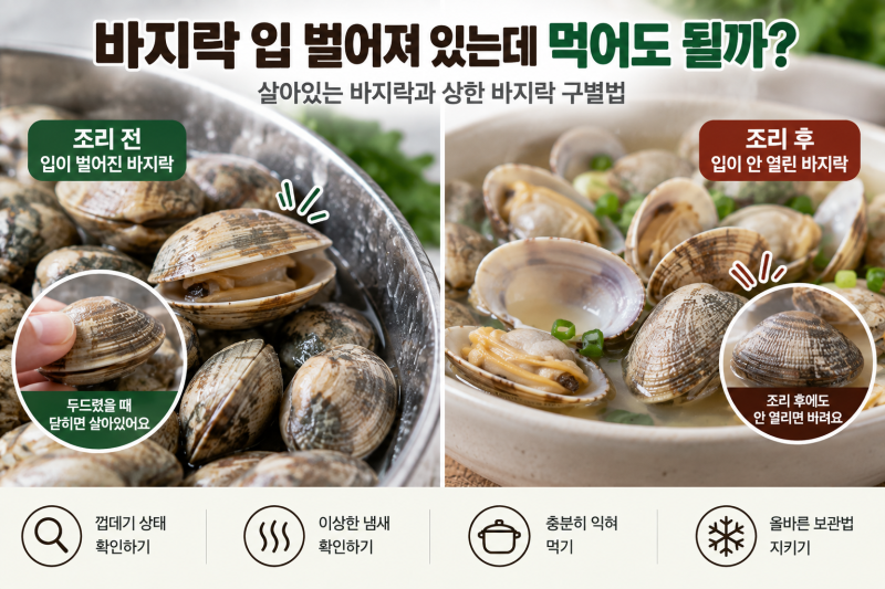 바지락 입 벌어져 있는데 먹어도 될까? 살아있는 바지락과 상한 바지락 구별법