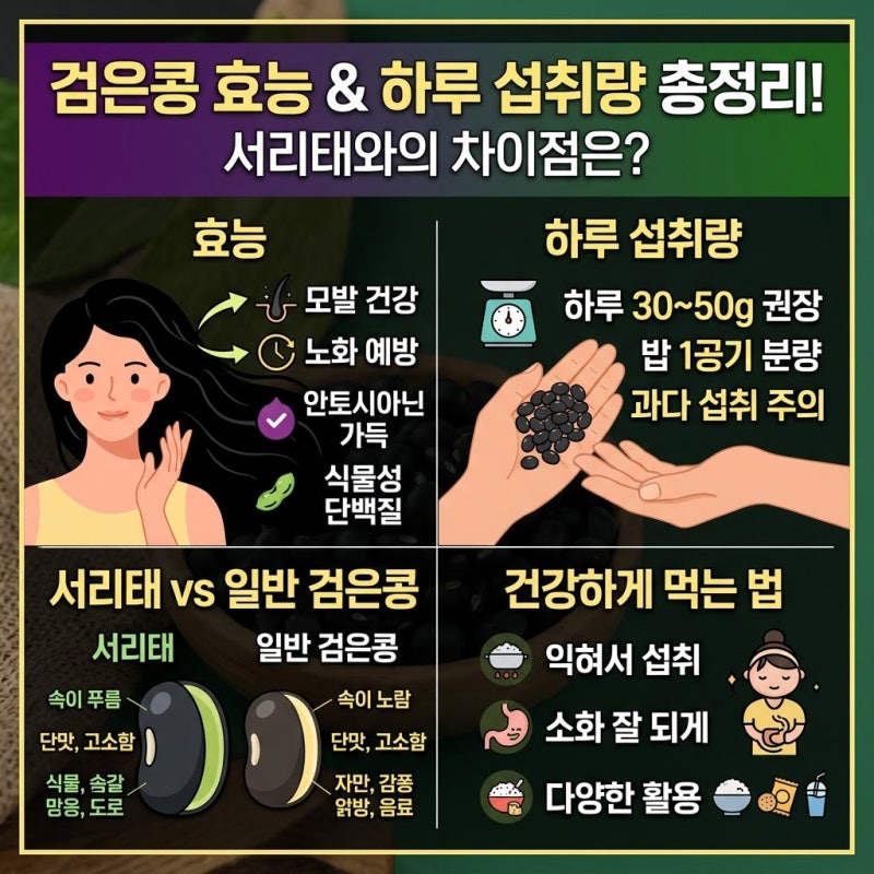 검은콩 효능과 하루 섭취량 총정리, 서리태와의 차이점은?