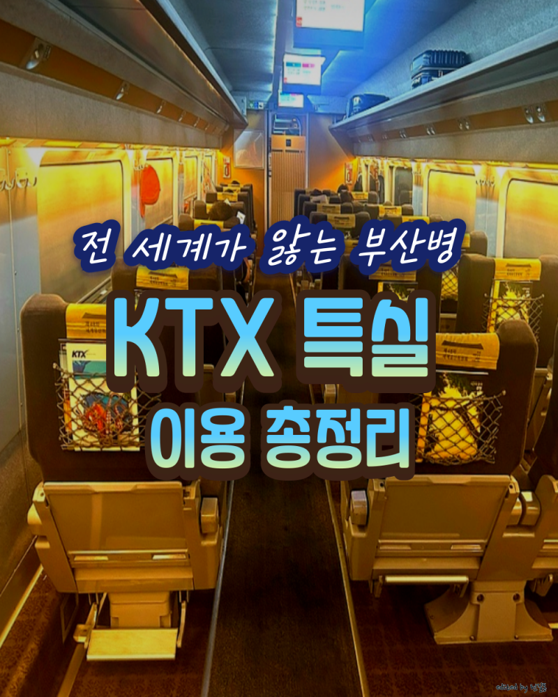 부산병 제대로 앓는 중 KTX 특실 이용후기｜특실 좌석·쿠키·생수 서비스