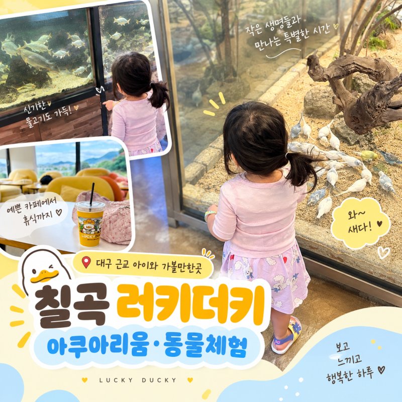대구 근교 아이와 가볼만한곳 칠곡 러키더키 패밀리랜드 아쿠아리움 동물체험
