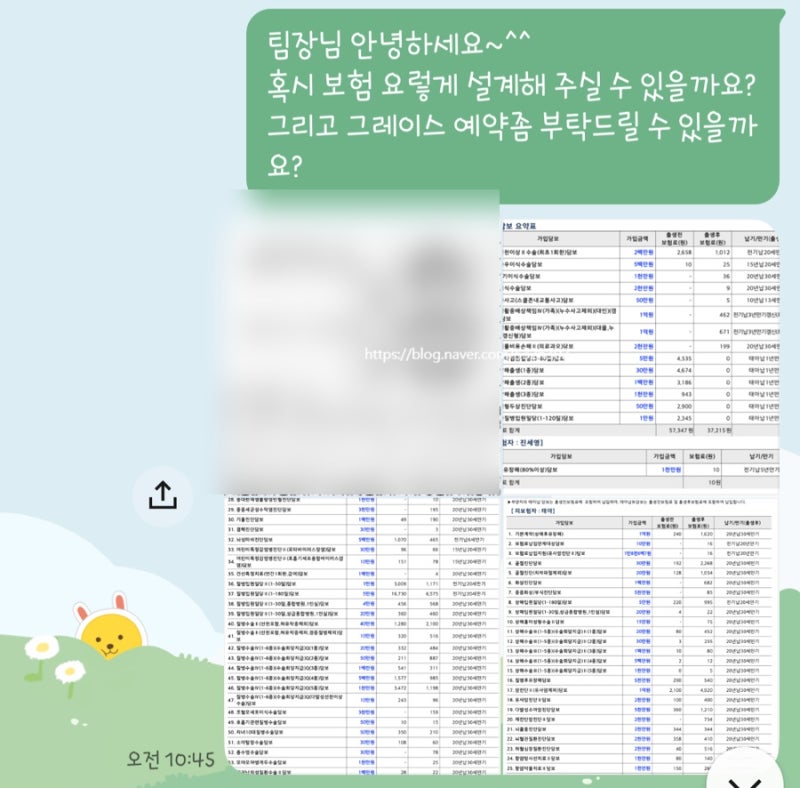 태아보험 고민 포인트 & 가입 솔직 고민 후기(마리아병원 코디네이터, 현대해상 vs. 국민, vs. ....