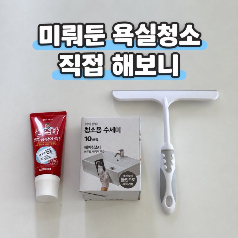 다이소에서 3개 사왔어요, 미뤄뒀던 욕실 청소 직접 해보니