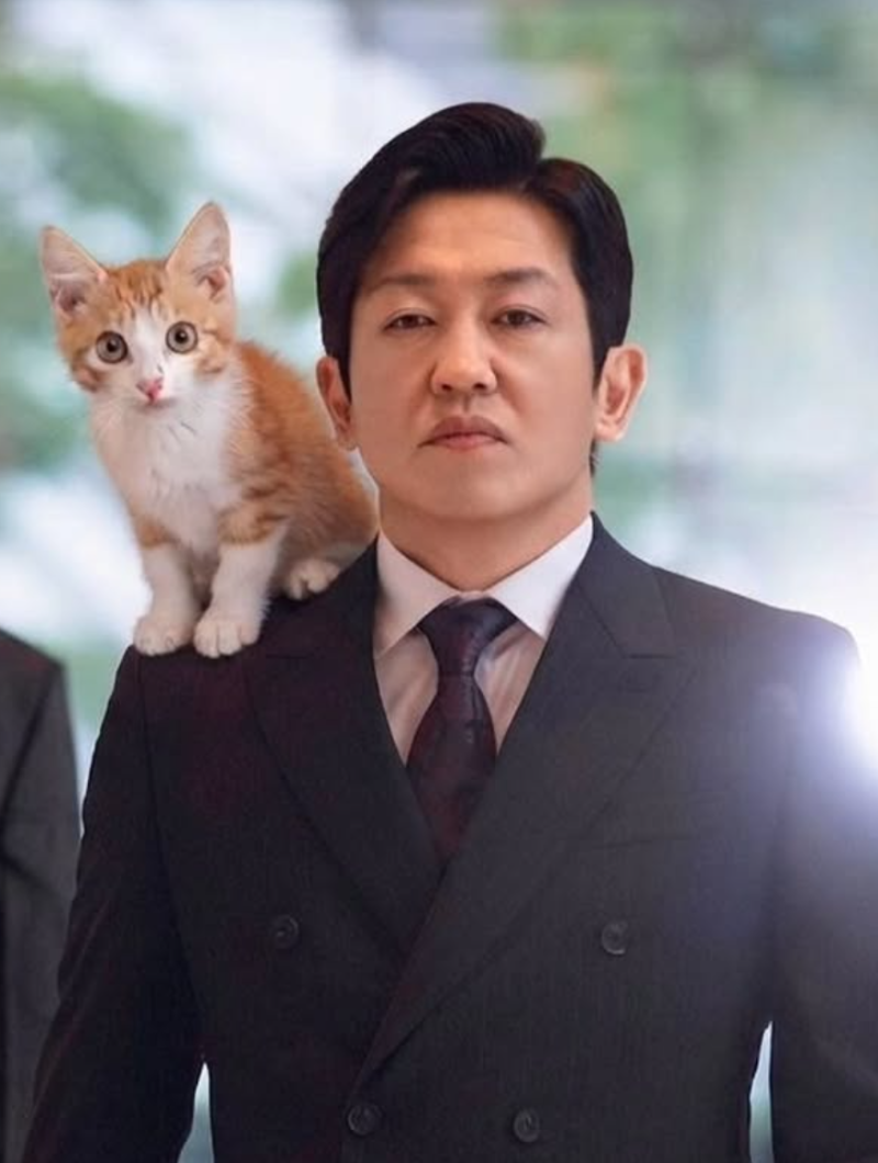 허성태 프로필 고향 학력 재산 나이 키 사건사고 총정리