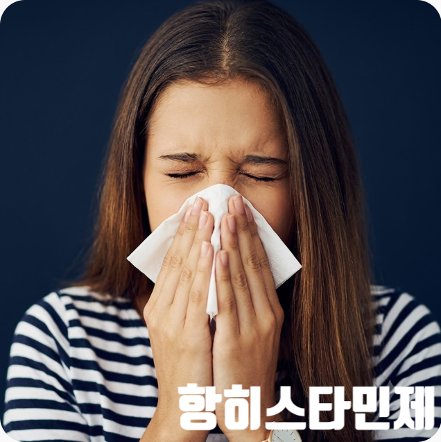 항히스타민제 1, 2, 3세대 특징 종류, 약 이름, 알레르기 비염 피부질환