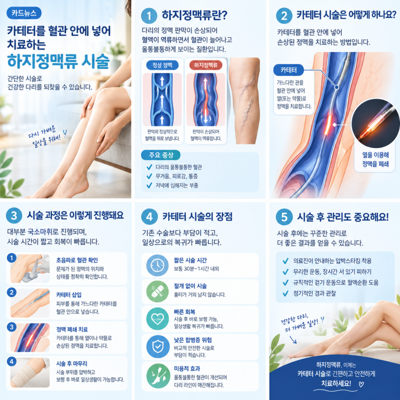 하지정맥류 당일입원 이제 실손보험 못받는다는데.. 심사기준 변경 총정리