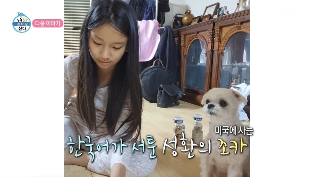 구성환 나혼산 조카, 영어 공부를 다시 시작한 이유는?