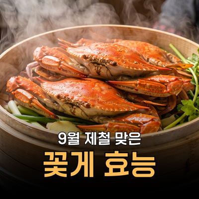 9월 제철 꽃게 효능 부작용 영양성분 제철 및 먹는법 확인하세요!