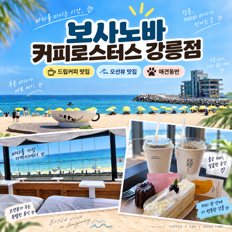 강릉 안목해변 카페 보사노바 커피로스터스 강릉점｜오션뷰·핸드드립 후기