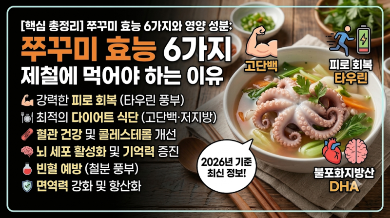 쭈꾸미 효능 6가지와 영양 성분: 제철에 먹어야 하는 이유