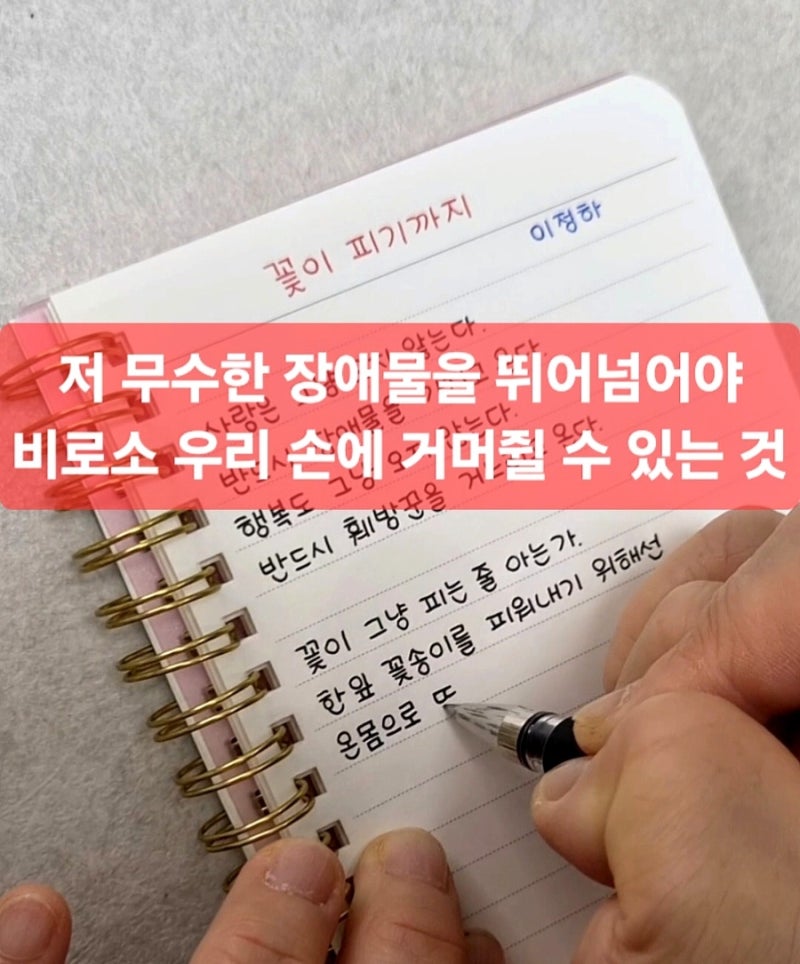 꽃이 피기까지 – 이정하 시 필사 샤이니봉봉 손글씨