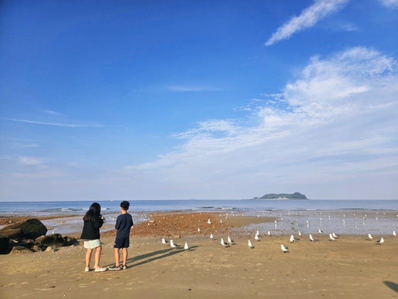 바다뷰 노지 캠핑, 갯벌체험, 차박성지, 태안 샛별해수욕장, 아이오닉5 차박