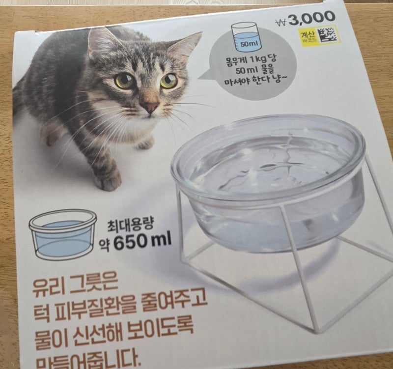다이소 고양이 물그릇, 큰숲빵집 아메리카노