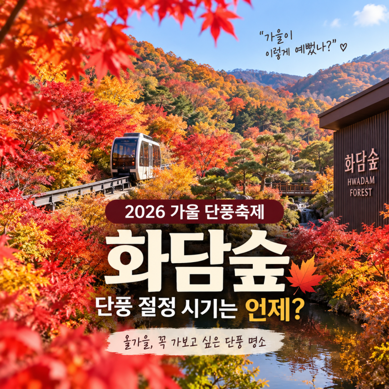 화담숲 단풍축제 2026, 가을 단풍 절정 시기 언제일까? 나이 들수록 더 예뻐 보이는 이유