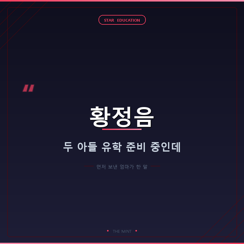 황정음 두 아들 유학 준비 중이래요, 근데 먼저 보낸 엄마가 한 말이 더 남더라고요
