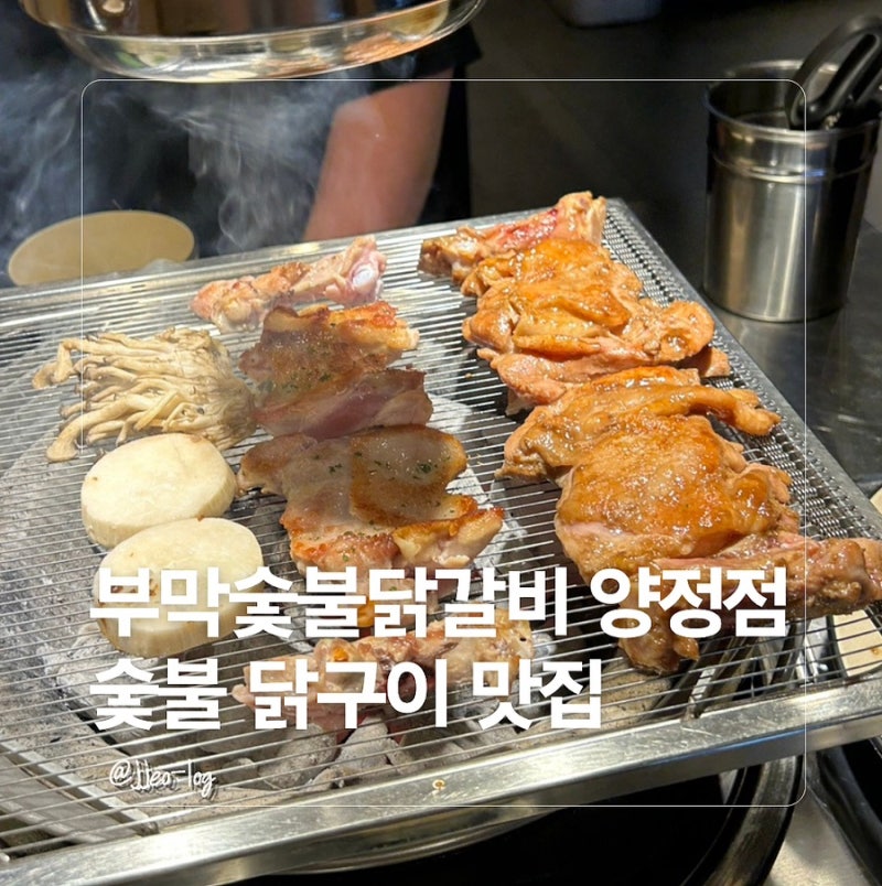 부산 양정 맛집 부막숯불닭갈비, 야들야들 숯불에 구운 닭구이