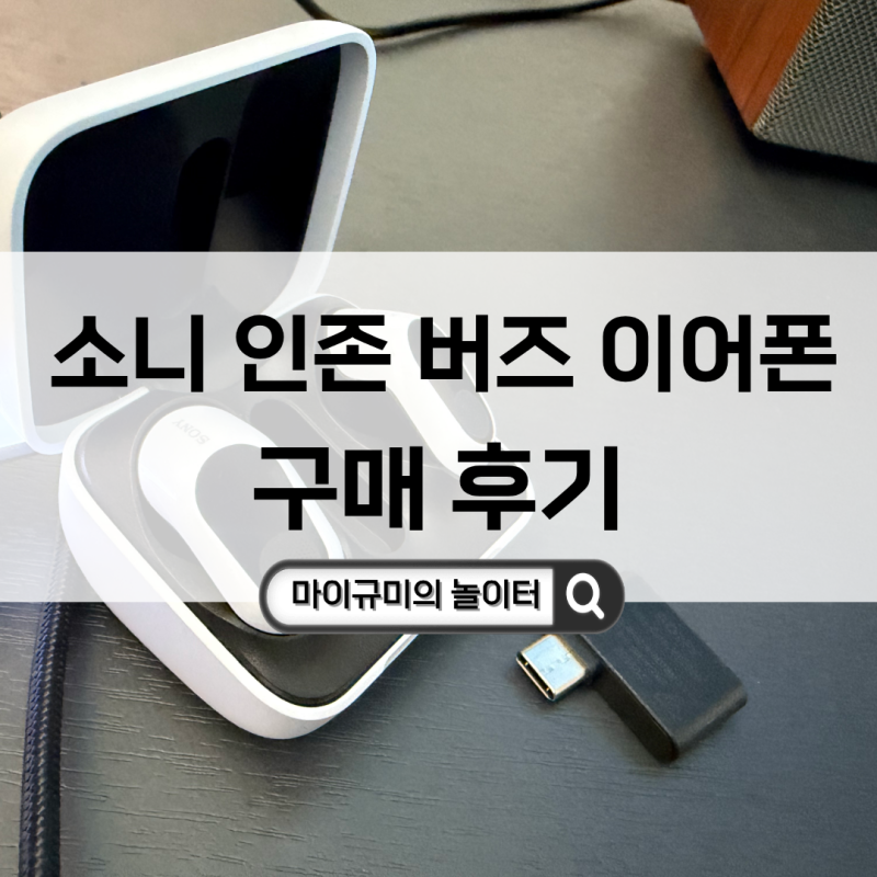 소니 인존 버즈 게이밍 이어폰 사용 후기 (게이밍헤드셋용)