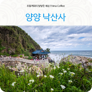 강원도 양양가볼만한곳 양양 낙산사