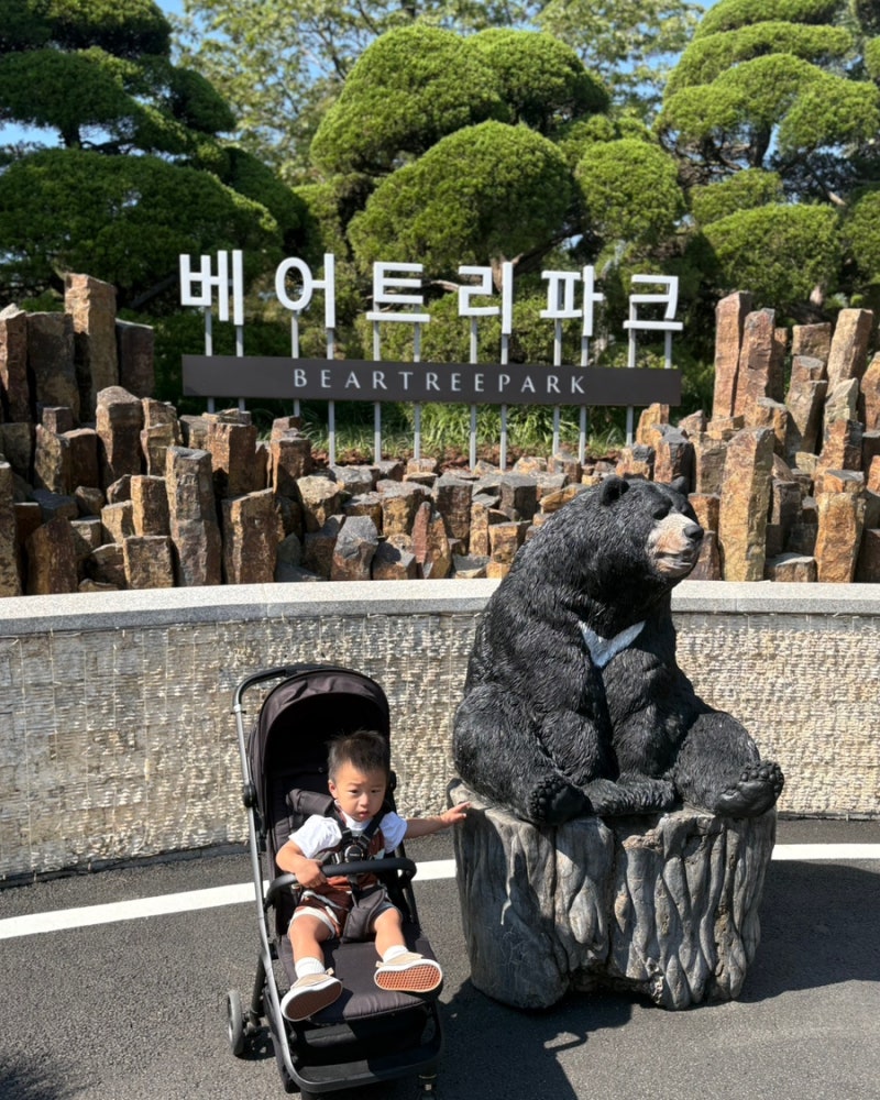 세종 아이랑 가볼만한곳 베어트리파크 아기랑 곰 먹이주기까지