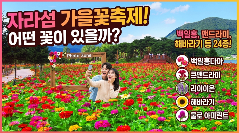 2026 자라섬 꽃축제 일정｜입장료·주차·꽃 종류·볼거리 총정리
