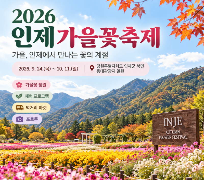 2026 인제가을꽃축제 일정｜용대리 황태정식 맛집까지 인제 가을여행 코스