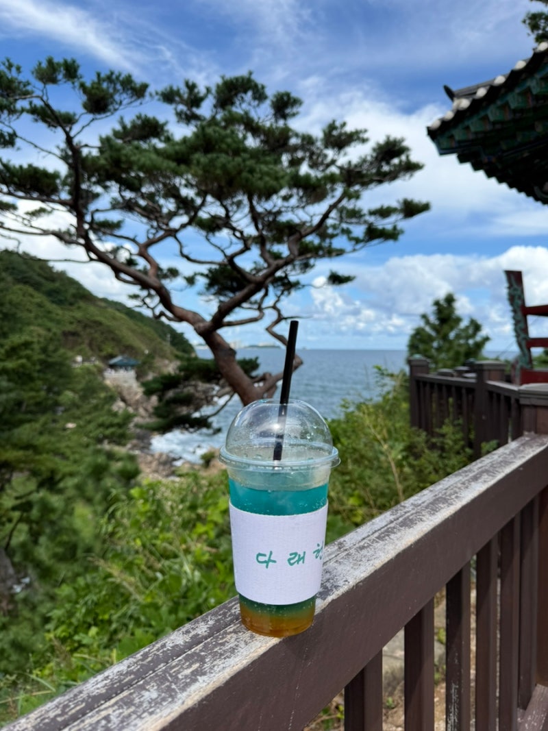 양양 낙산사 카페 다래헌, 속초 여행 코스로 추천하는 탁 트인 오션뷰 야외 테라스