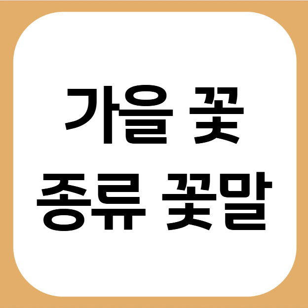 가을 꽃 종류와 꽃말은? 코스모스 능소화 뜻, 가을 꽃 추천