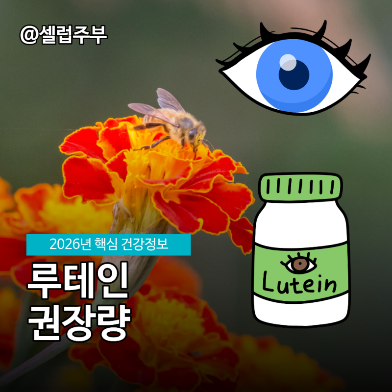 루테인 눈영양제 아스타잔틴 권장량
