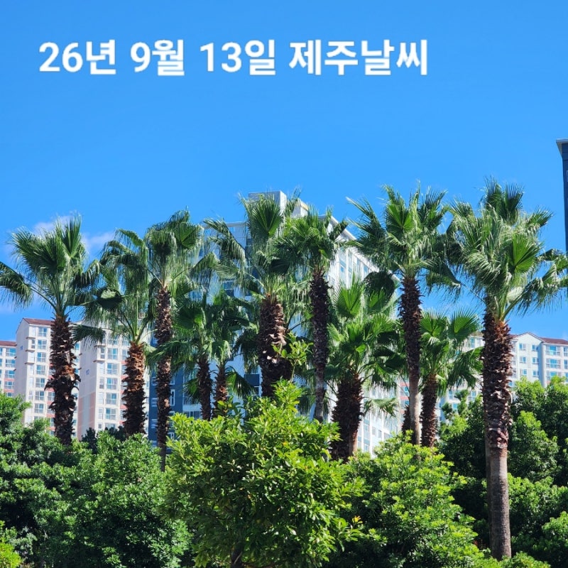 9월 13일 일요일 제주도 날씨 이번주 서귀포 실시간 옷차림 한라산 예보