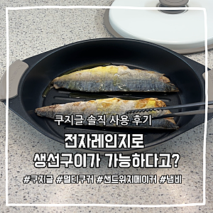 전자레인지로 생선구이 삼겹살 굽기 | 쿠지글 솔직 사용 후기