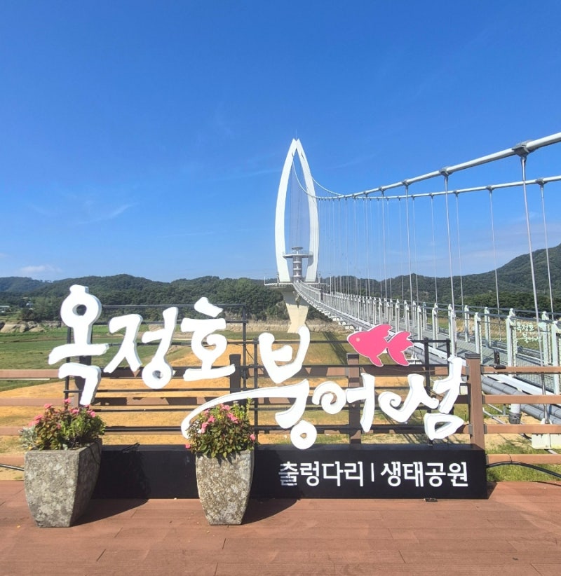 Must-Visit Places in Imsil, Jeonbuk: Okjeongho Suspension Bridge and the Blooming Bungeoseom Ecological Park