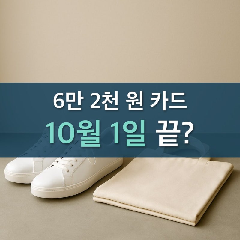 "6만 2천 원 끊던 카드가 끝난다고?" 기후동행패스 10월 1일부터 뭐가 달라지나
