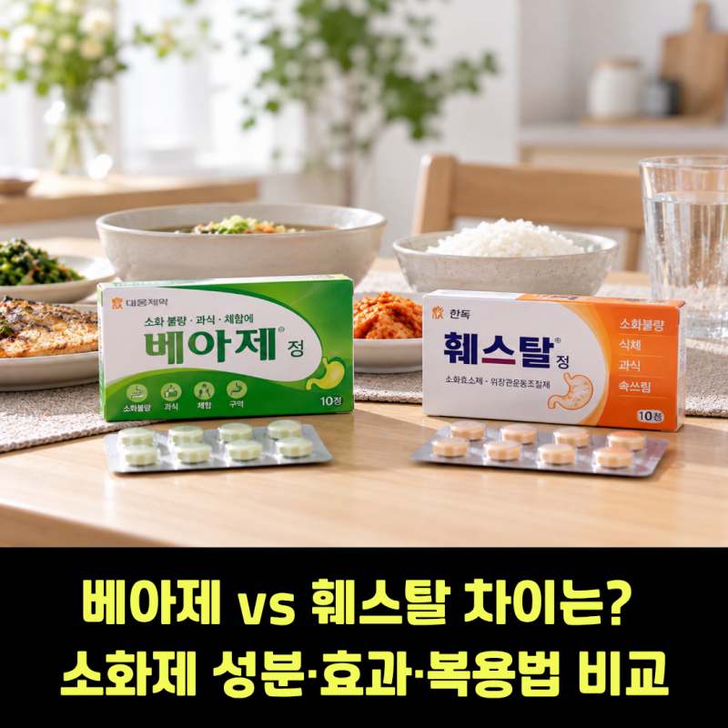 베아제 훼스탈 차이, 같이 먹어도 될까? 소화제 성분·효과·복용법 비교