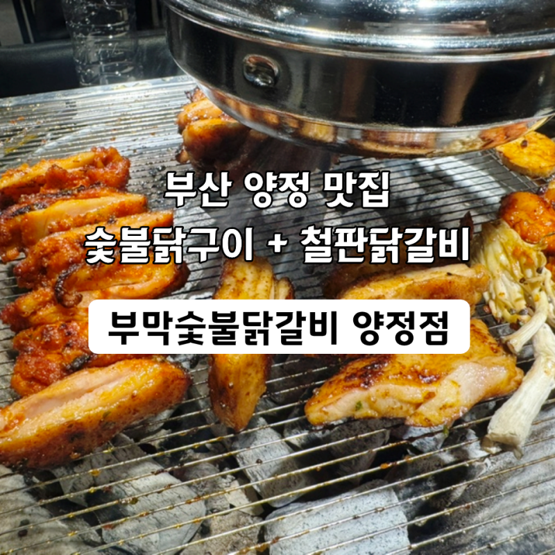 부산 양정 맛집 부막숯불닭갈비 숯불닭구이 철판닭갈비