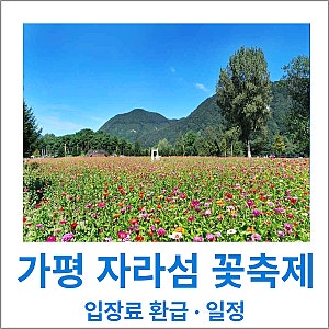 가평 자라섬 가을 꽃축제 입장료 5천원 환급 혜택과 일정