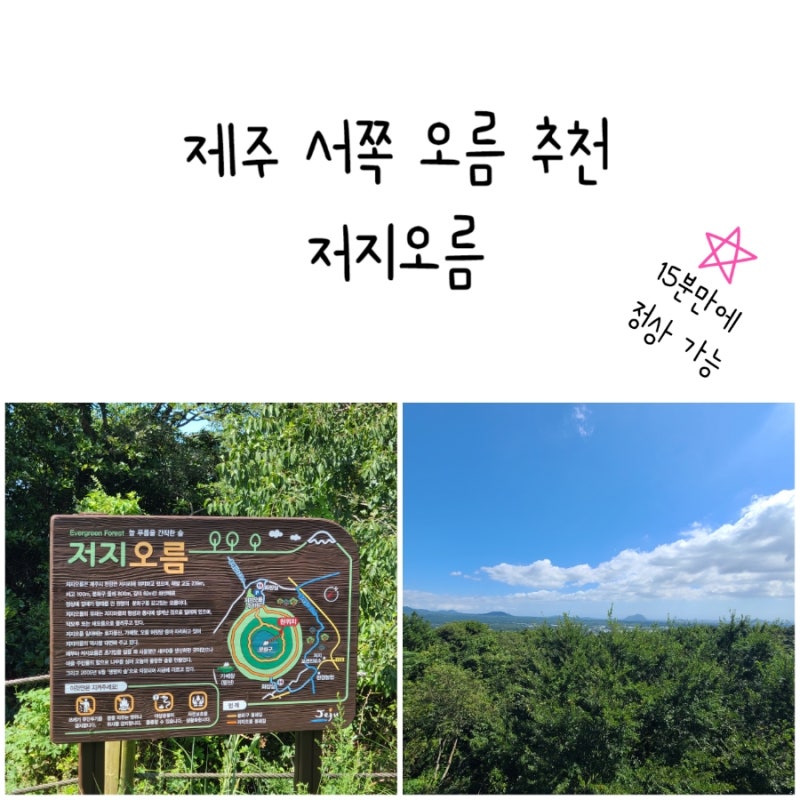 제주 서쪽 오름 추천 저지오름 15분이면 정상