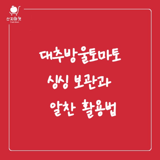 대추방울토마토 싱싱 보관과 알찬 활용법